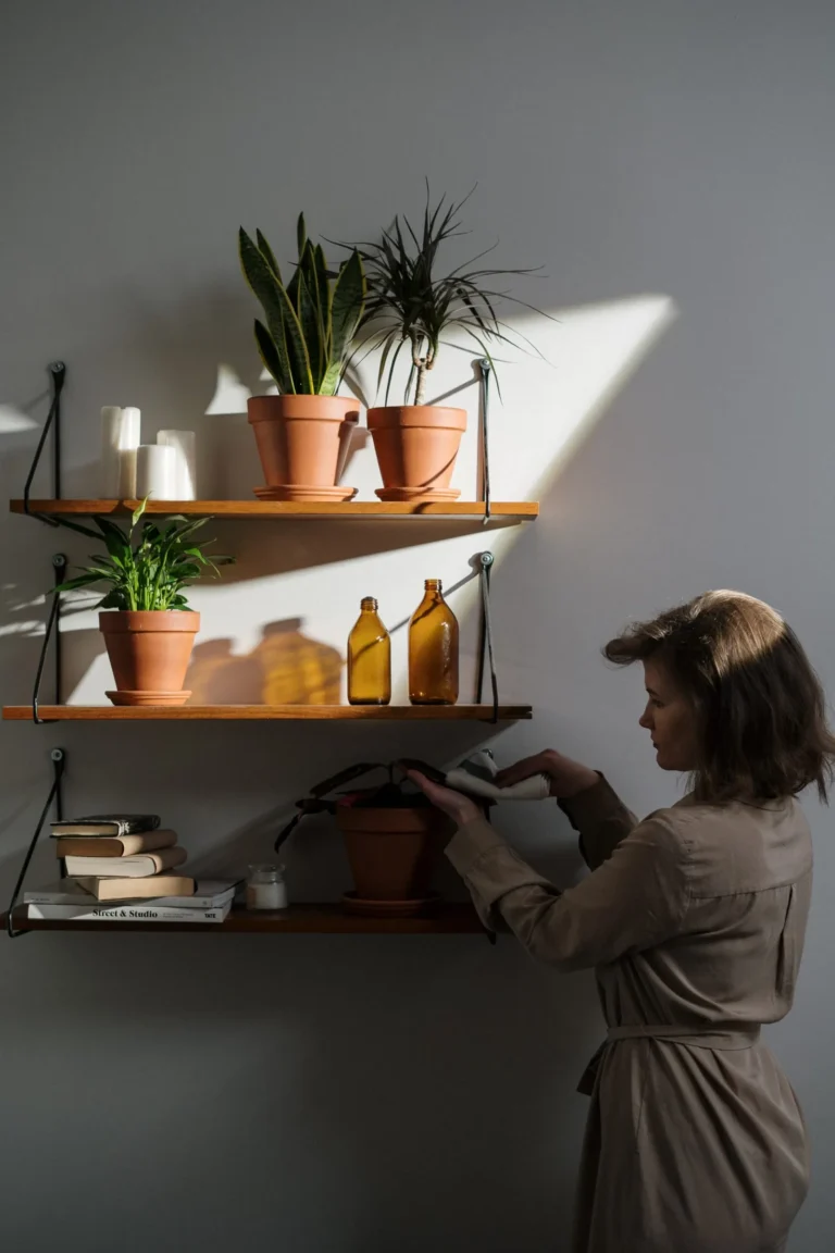 Guia para cultivar plantas dentro de casa