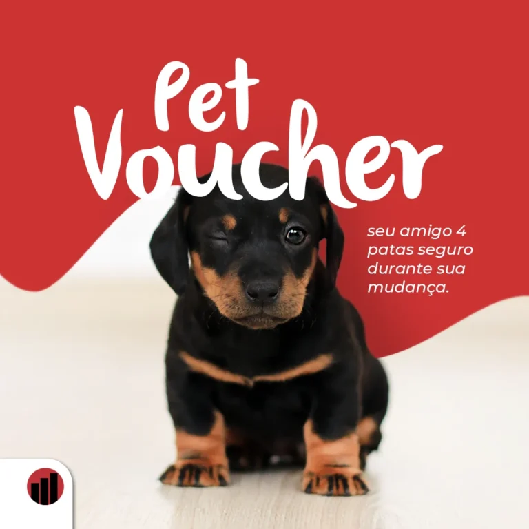 Pet Voucher: seu amigo 4 patas seguro durante sua mudança.